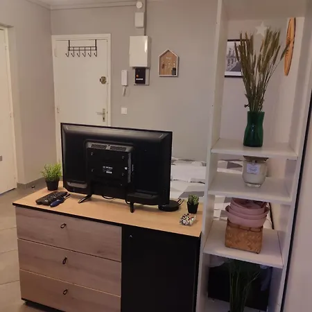 Studio Cosy, *Fibre *Smart Tv Villeurbanne Exterior foto